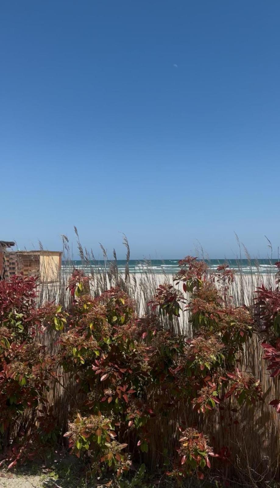 Apartament Sea View 63 Năvodari Zewnętrze zdjęcie